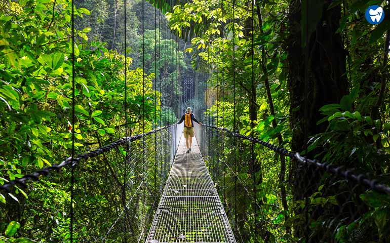 Braulio Carrillo National Park, Costa Rica