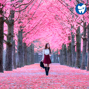 Nami island