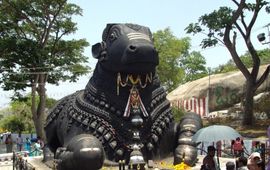 Nandi