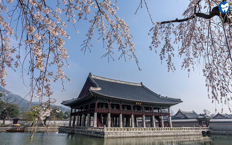 Gyeongbokgung Palace | Dental Work in Seoul