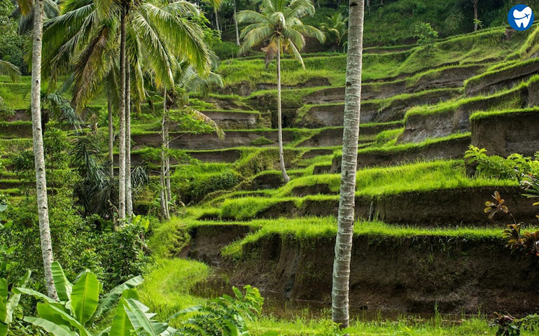 Ubud Town in Bali, Indonesia