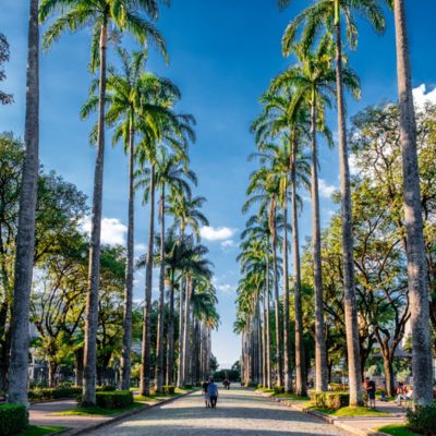Parque de las Californias, Los Algodones