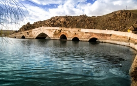 Çekirge